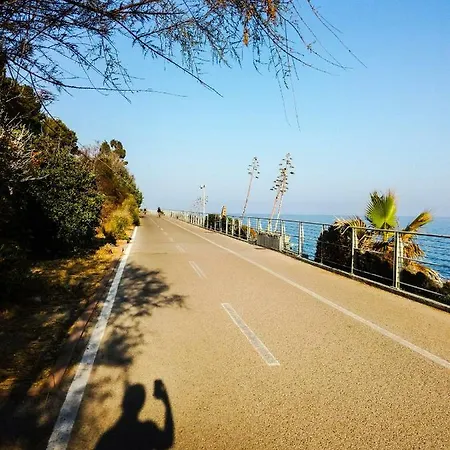 Sanremo66
